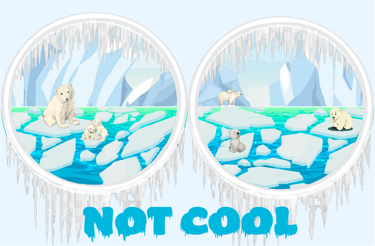 Polar Bears cover image